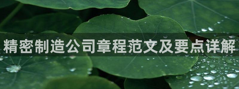 彩神v8是真的挣钱吗安全吗：精密制造公司章程范文及要点详解