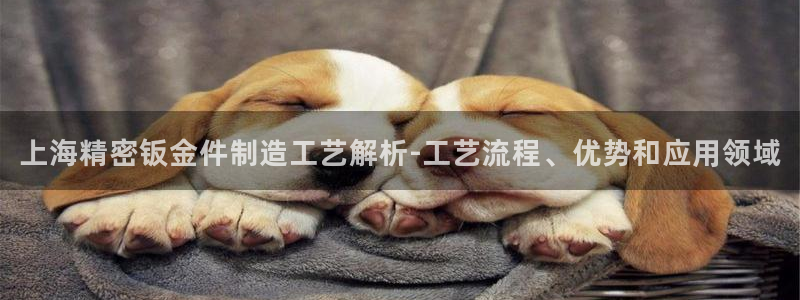 所有彩神购买首页：上海精密钣金件制造工艺解析-工艺流程、优势和应用领域