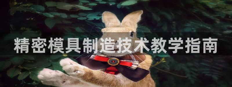 彩神购彩-购彩大厅入口娱乐首选：精密模具制造技术教学指南