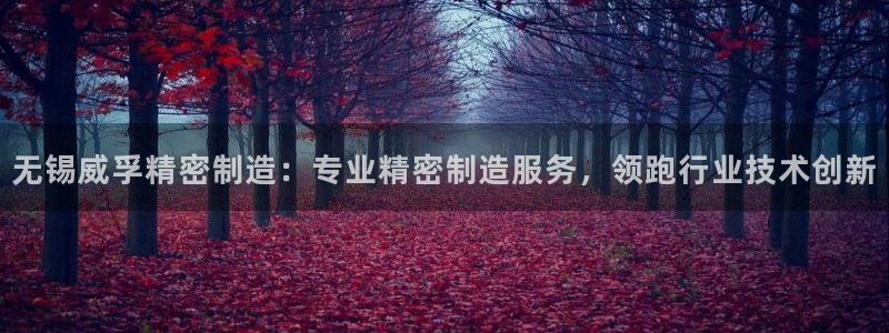 彩神平台是真的吗：无锡威孚精密制造：专业精密制造服务，领跑行业技术创新