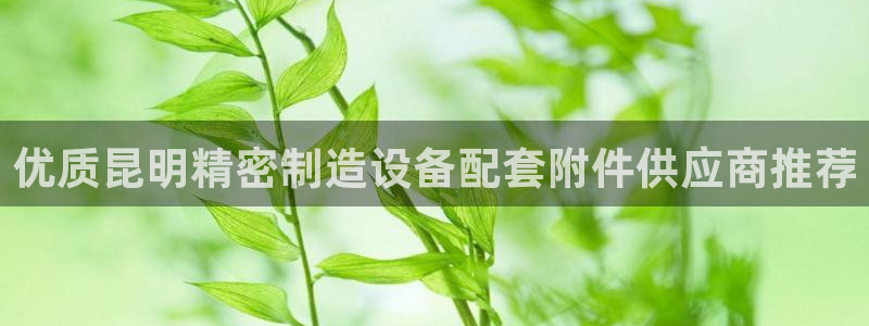 彩神购彩-购彩大厅入口老版：优质昆明精密制造设备配套附件供应商推荐