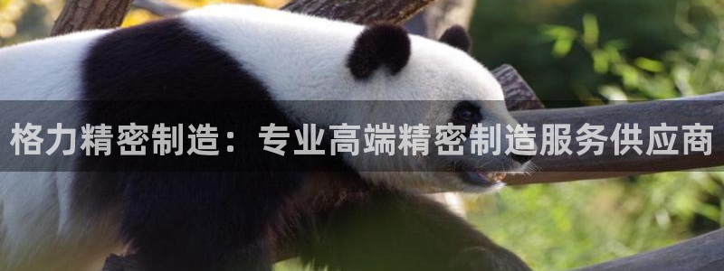 彩神怎么才能赢：格力精密制造：专业高端精密制造服务供应商
