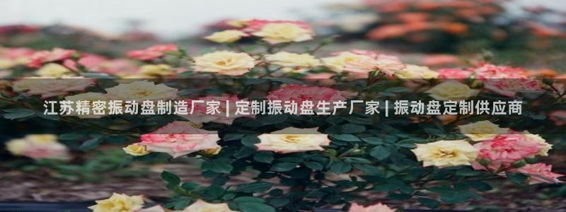 彩神v8平台正规吗：江苏精密振动盘制造厂家 | 定制振动盘生产厂家 | 振动盘定制供应商