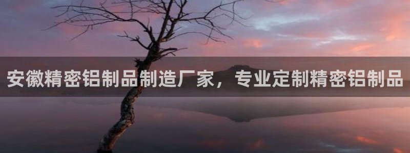 彩神大发cp：安徽精密铝制品制造厂家，专业定制精密铝制品