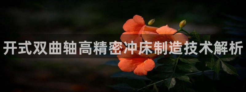 有谁知道彩神争霸的网址：开式双曲轴高精密冲床制造技术解析