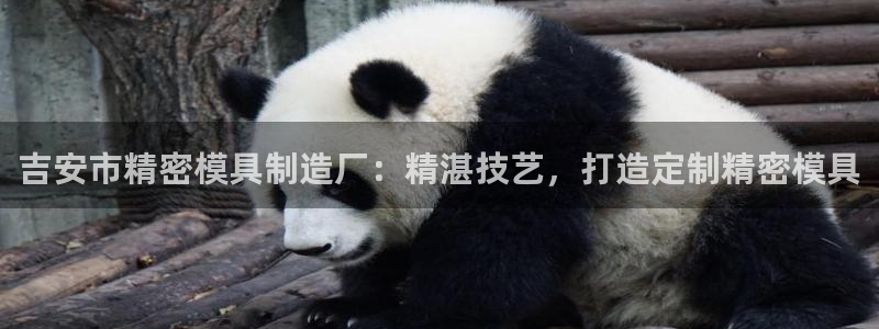 彩神是正规平台吗：吉安市精密模具制造厂：精湛技艺，打造定制精密模具