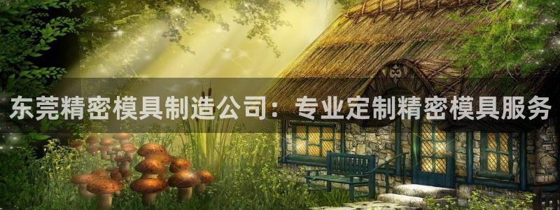 彩神v|：东莞精密模具制造公司：专业定制精密模具服务