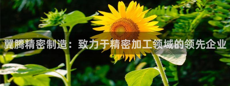 所有彩神购买首页中心：翼腾精密制造：致力于精密加工领域的领先企业