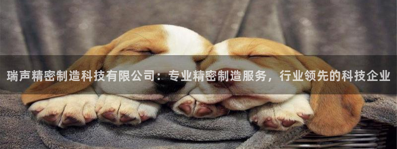 彩神通官网下载：瑞声精密制造科技有限公司：专业精密制造服务，行业领先的科技企业