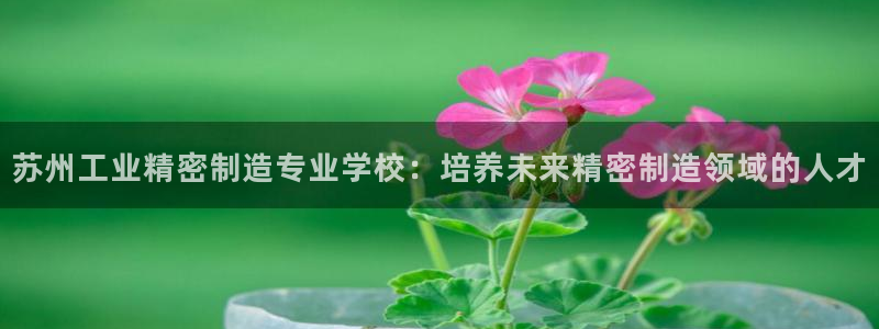 彩神大发cp：苏州工业精密制造专业学校：培养未来精密制造领域的人才