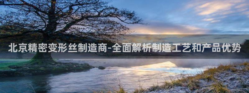 彩神v8是一个什么平台啊：北京精密变形丝制造商-全面解析制造工艺和产品优势