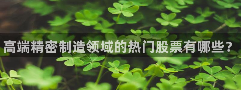 彩神争霸老平台：高端精密制造领域的热门股票有哪些？