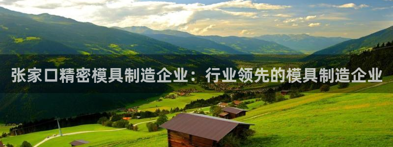 彩神v8下载：张家口精密模具制造企业：行业领先的模具制造企业