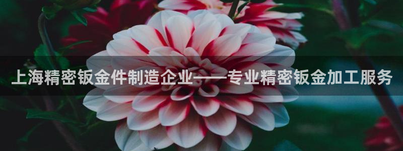 彩神vll趣投彩：上海精密钣金件制造企业——专业精密钣金加工服务