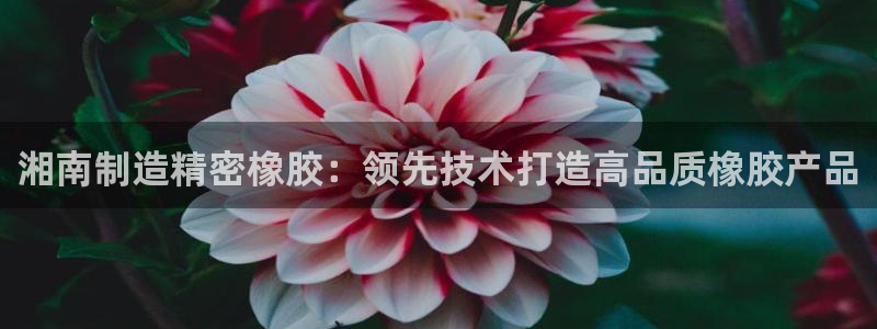 彩神v1破解器：湘南制造精密橡胶：领先技术打造高品质橡胶产品