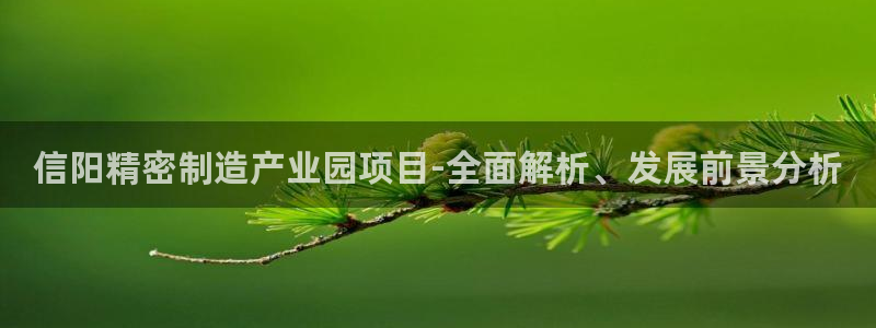 彩神v1官网：信阳精密制造产业园项目-全面解析、发展前景分析