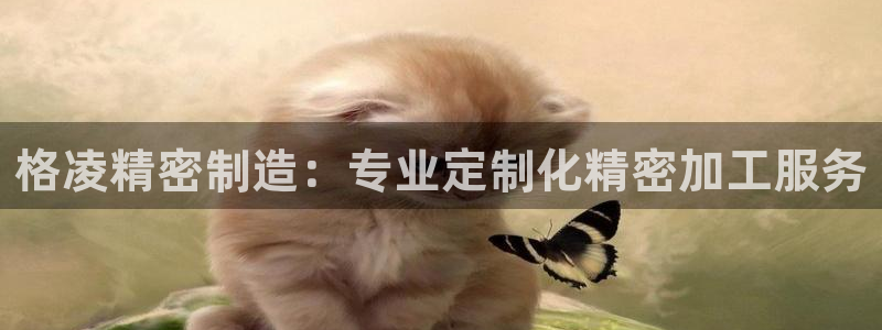 彩神网能赚钱是怎么回事：格凌精密制造：专业定制化精密加工服务