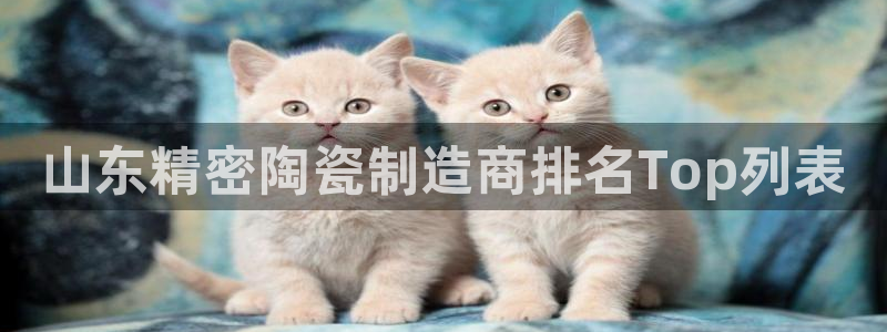 v大发彩神8iii：山东精密陶瓷制造商排名Top列表