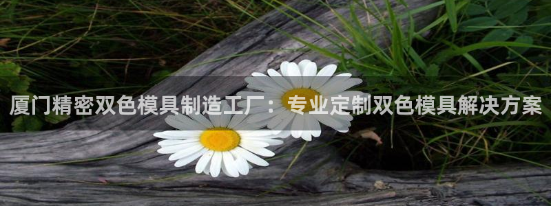 彩神网正规吗：厦门精密双色模具制造工厂：专业定制双色模具解决方案