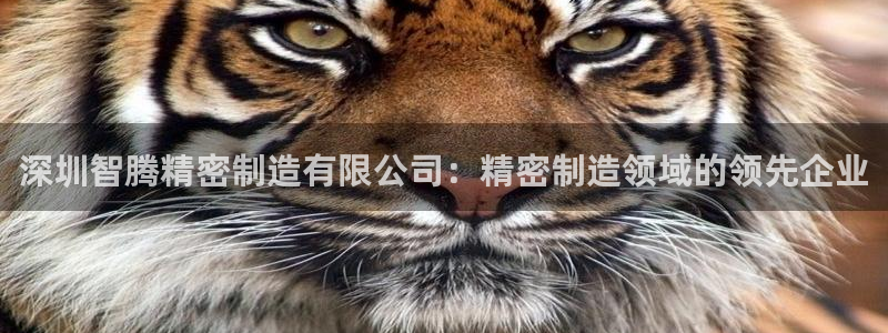 下载彩神乐发V1：深圳智腾精密制造有限公司：精密制造领域的领先企业