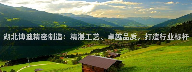 彩神vllⅰ购彩大厅：湖北博迪精密制造：精湛工艺、卓越品质，打造行业标杆