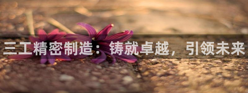 彩神v秘聊号码：三工精密制造：铸就卓越，引领未来