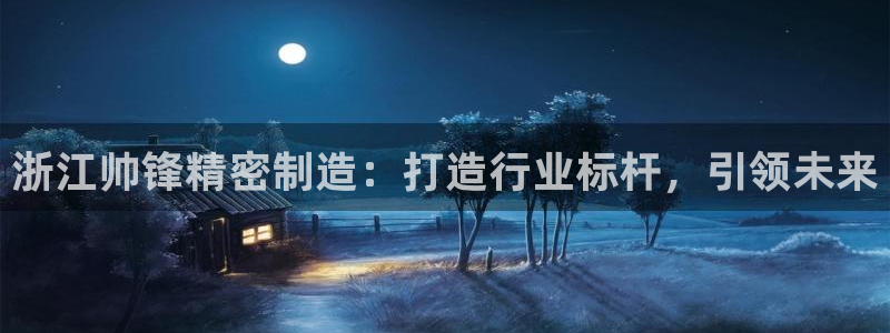 彩神是什么平台的游戏：浙江帅锋精密制造：打造行业标杆，引领未来