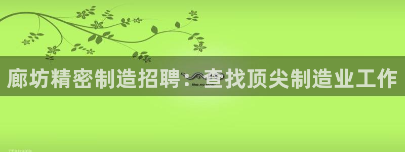 彩神v8下载：廊坊精密制造招聘：查找顶尖制造业工作