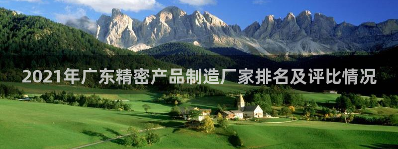 彩神客服电话：2021年广东精密产品制造厂家排名及评比情况