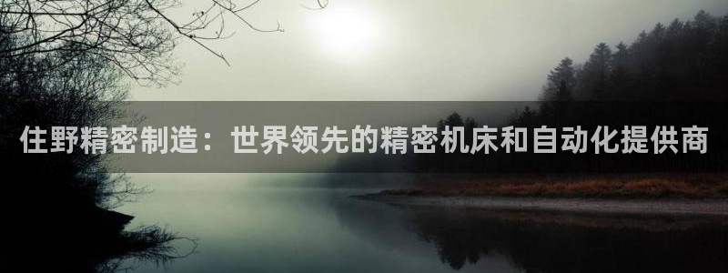 彩神团队是真的吗：住野精密制造：世界领先的精密机床和自动化提供商