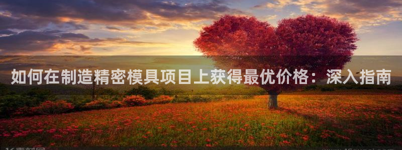 彩神 好 平台：如何在制造精密模具项目上获得最优价格：深入指南