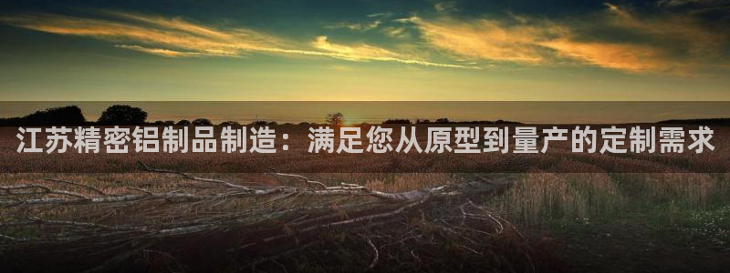 v大发彩神8iii：江苏精密铝制品制造：满足您从原型到量产的定制需求