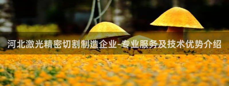 彩神v8iii：河北激光精密切割制造企业-专业服务及技术优势介绍