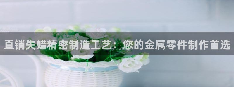 彩神趣购彩用户注册：直销失蜡精密制造工艺：您的金属零件制作首选