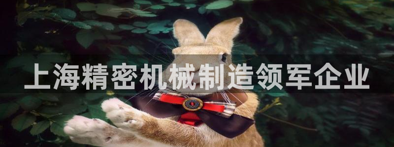 彩神8是正规平台吗安全吗：上海精密机械制造领军企业