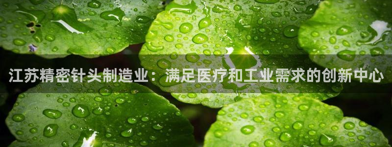 彩神平台注册登录：江苏精密针头制造业：满足医疗和工业需求的创新中心