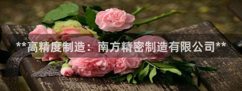 彩神是怎样一个平台：**高精度制造：南方精密制造有限公司**