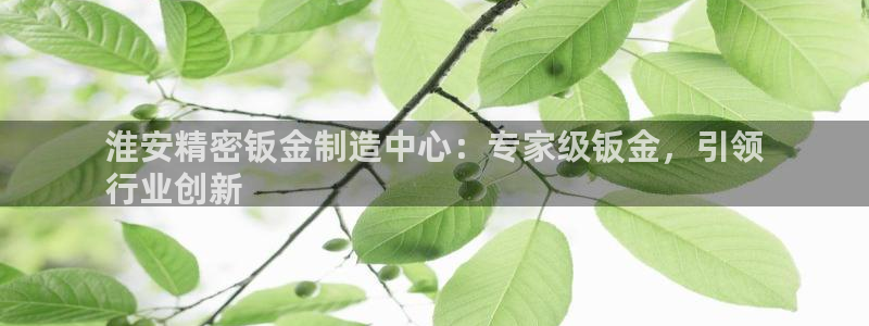 彩神v|：淮安精密钣金制造中心：专家级钣金，引领
行业创新