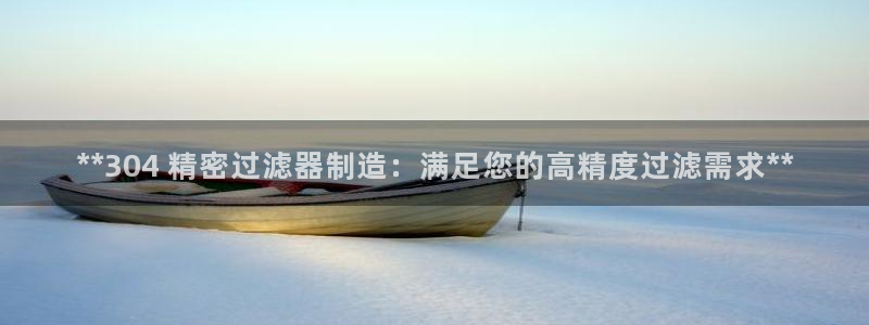所有彩神购买首页：**304 精密过滤器制造：满足您的高精度过滤需求**