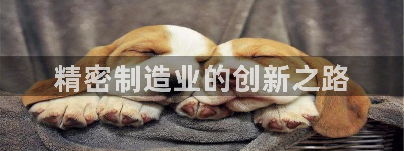 有谁知道彩神争霸的网址：精密制造业的创新之路