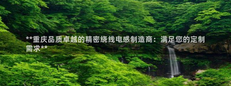 彩神通官方网：**重庆品质卓越的精密绕线电感制造商：满足您的定制
需求**