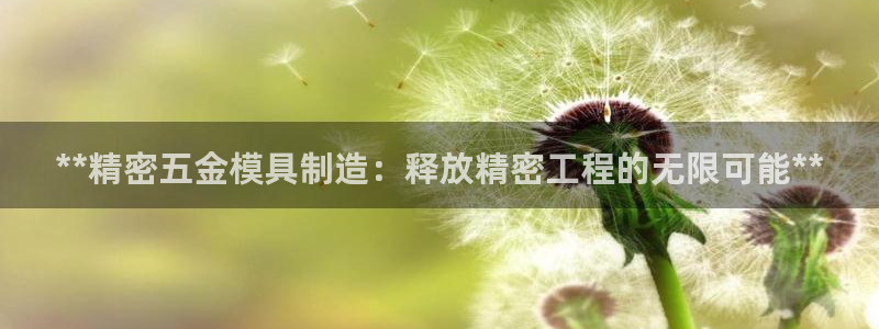 彩神是怎样一个平台：**精密五金模具制造：释放精密工程的无限可能**