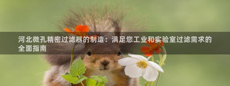 彩神V3大赢家：河北微孔精密过滤器的制造：满足您工业和实验室过滤需求的
全面指南