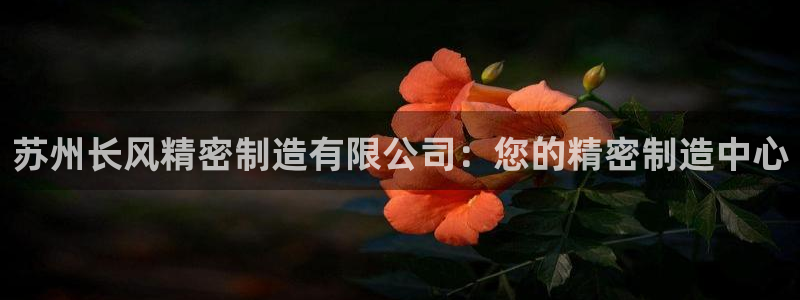 彩神系列平台：苏州长风精密制造有限公司：您的精密制造中心
