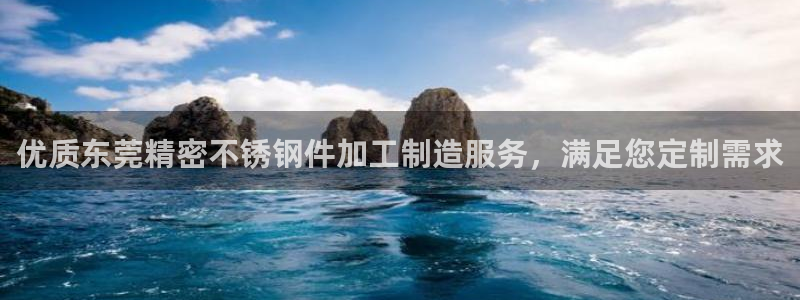 彩神到底能不能赚钱：优质东莞精密不锈钢件加工制造服务，满足您定制需求