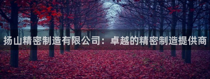 彩神广告有限公司：扬山精密制造有限公司：卓越的精密制造提供商