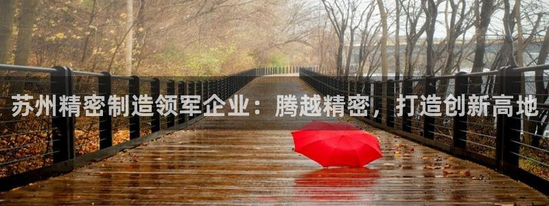 彩神是什么平台的游戏：苏州精密制造领军企业：腾越精密，打造创新高地