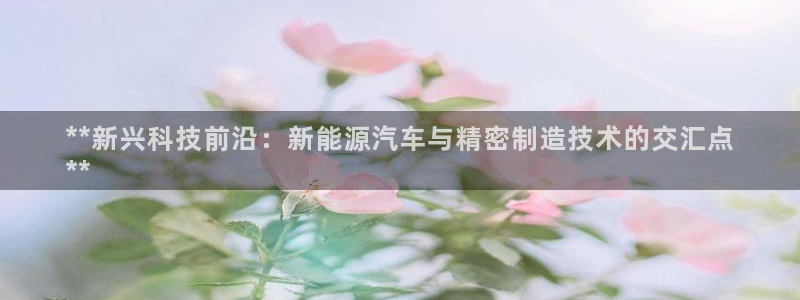 大发彩神官网下载：**新兴科技前沿：新能源汽车与精密制造技术的交汇点
**