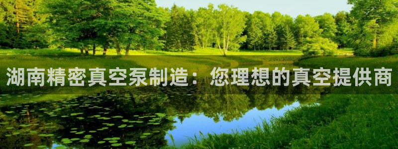 彩神赢了钱登录不上去：湖南精密真空泵制造：您理想的真空提供商