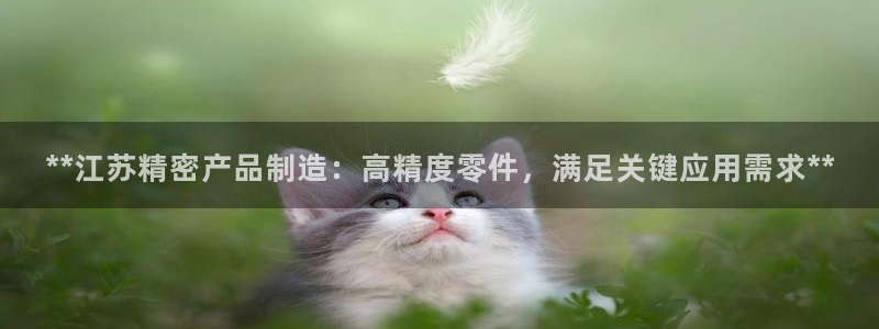彩神v8首页：**江苏精密产品制造：高精度零件，满足关键应用需求**
